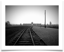 Tracks Birkenau - James Leslie